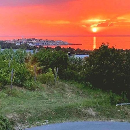 Apartament Winehouse Dolcevista Izola Zewnętrze zdjęcie